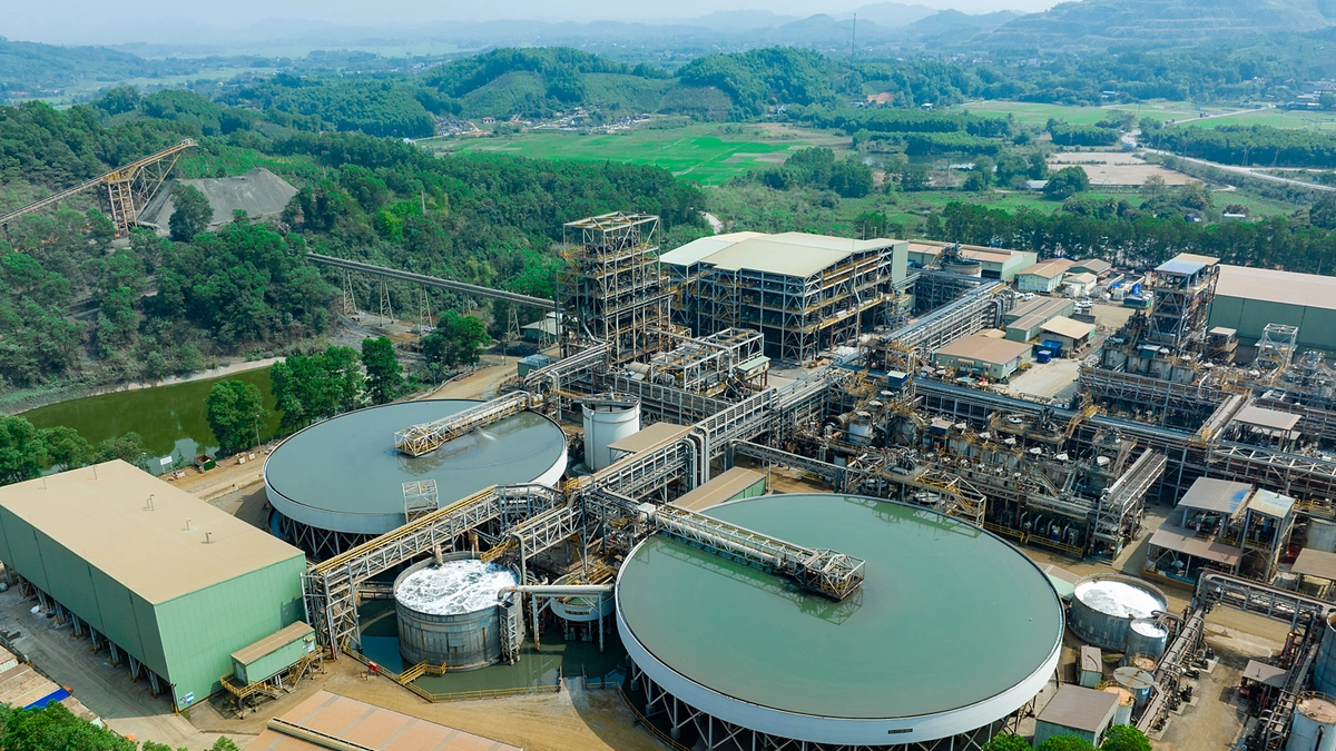 MSR mở rộng chuỗi giá trị từ năng lực chế biến sâu